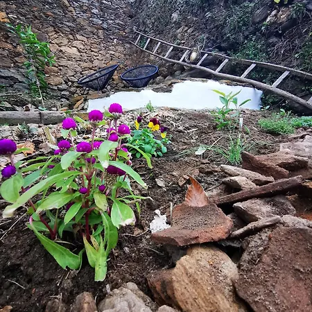 Casa de Férias O Ninho
