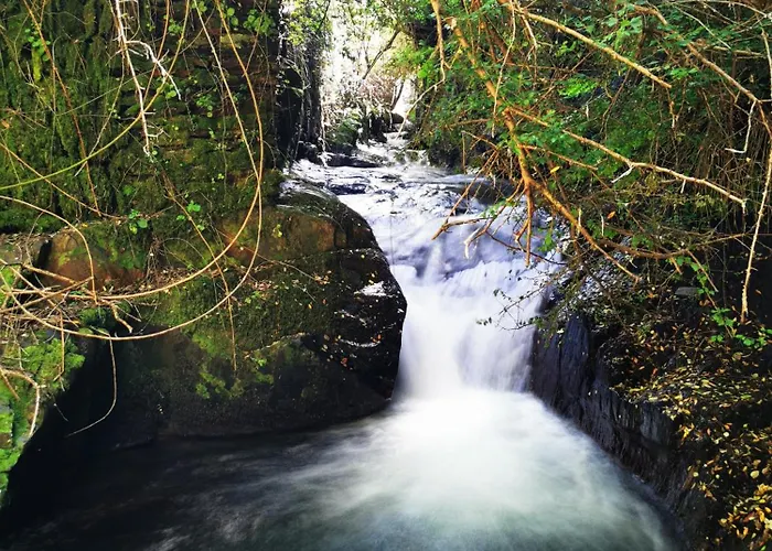 Hébergement de vacances O Ninho *